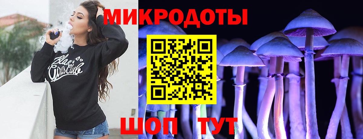 Галлюциногенные грибы Psilocybe Белово